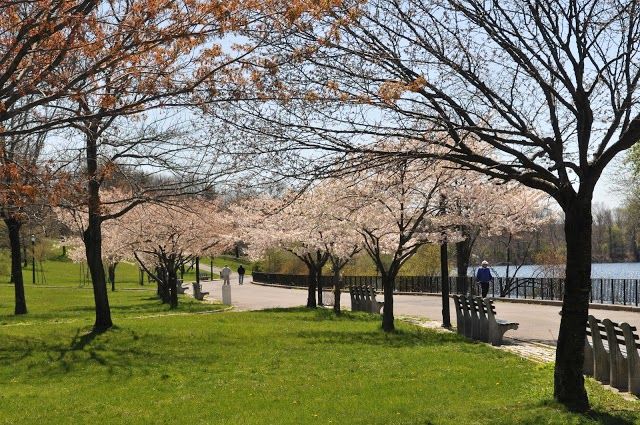 Silver Lake Park